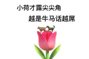 网络热词“牛马啥意思”背后的含义与梗解析