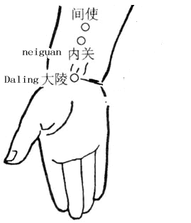 大陵穴位位置图，准确找寻腕部重要穴位