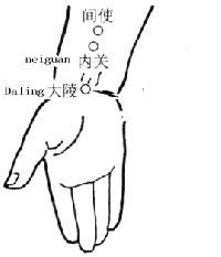 大陵穴位位置图，准确找寻腕部重要穴位