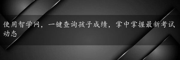 使用智学网，一键查询孩子成绩，掌中掌握最新考试动态