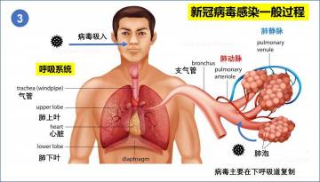 新冠感染防护，正确使用漱口水与日常防护措施