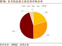 国债：普通与特别国债的含义、区别与投资特点