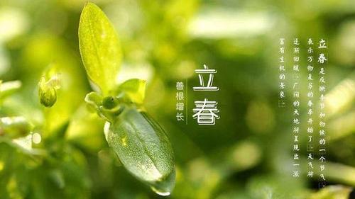 2020年立春时间揭晓：几点几分迎接春天的到来