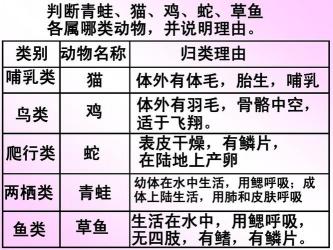 揭秘青蛙的呼吸之谜：皮肤、口腔与肺的共同作用