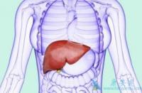 丙肝的症状：恶心、食欲下降、全身无力等，及时发现和治疗是关键