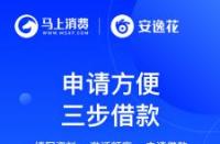 安逸花提现技巧：额度限制、时间选择、通道选择及常见问题解决方法