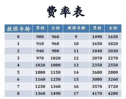 中国大地车险排名：市场地位与实力分析