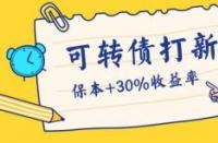 打新债：投资者成功申购新发行债券的策略与技巧