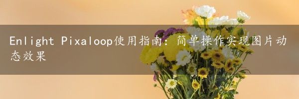 Enlight Pixaloop使用指南：简单操作实现图片动态效果