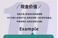 人寿保险退保能退多少？退保比例与产品特性详解