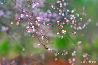 《火把节是哪个族的节日？答案揭晓，不止一个族在庆祝！》