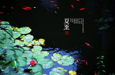 夏至的含义：中国二十四节气中的夏日最高点