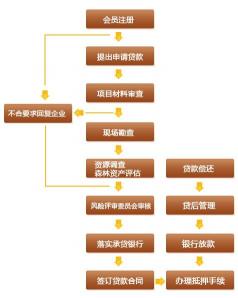 招行车贷初审通过并不一定能够成功获得贷款，还需要注意申请条件和审核流程