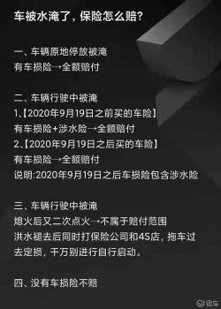 20万汽车涉水险赔付指南：了解保险理赔与注意事项