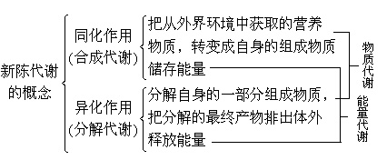 新陈代谢的意思：生物体不断以新物质代替旧物质的过程