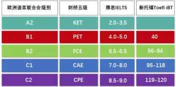 pet是什么：一个多义词的详解