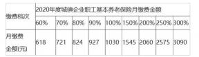 养老保险缴费比例详解：在职职工、个体工商户与灵活就业者的不同缴纳方式