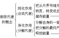 新陈代谢的意思：生物体不断以新物质代替旧物质的过程