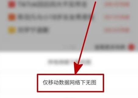 手机浏览器省流量技巧：如何开启无图模式以节省流量