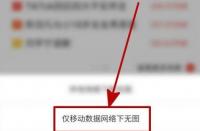 手机浏览器省流量技巧：如何开启无图模式以节省流量