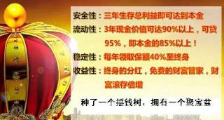 利赢年年：快速回本的分红型年金保险之选