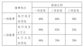 基本医疗保险二档：门诊与药品费用支付指南