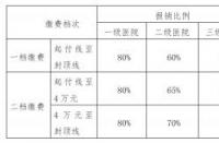 基本医疗保险二档：门诊与药品费用支付指南