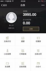 激活京东白条的后果：享受便利的同时也要注意风险