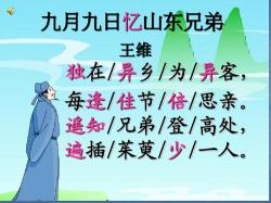 《九月九日忆山东兄弟》中的“山”指的是什么？揭秘古诗背后的地理印记