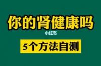 肾功能衰竭：了解、预防与科学治疗的重要性