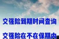 二手车交强险费用：一年多少钱？如何投保？