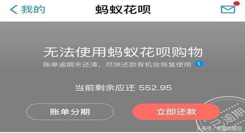 蚂蚁花呗欠多少会立案：欠款金额与法律后果详解