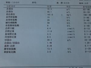 乙肝病毒DNA：评估乙肝病情与传染性的关键指标