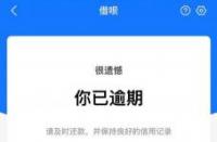 支付宝为什么没有借呗：原因解析与应对策略