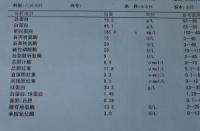 乙肝病毒DNA：评估乙肝病情与传染性的关键指标