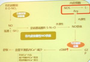 过敏性鼻炎的最佳治疗方法：非药物、药物与物理疗法的全面指南