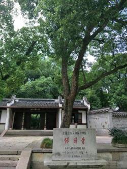 宁波保国寺：历史悠久，文化与生态的完美交融