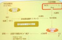 过敏性鼻炎的最佳治疗方法：非药物、药物与物理疗法的全面指南