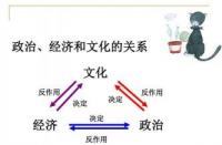 政治文化如何塑造我们的政治生活：功能与作用解析