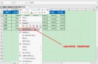 Excel自动求和：从入门到精通的实用指南