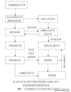 没来月经是否会怀孕：生理机制与生育可能性解析