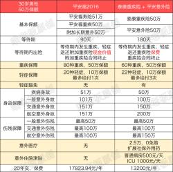 车险买哪些险种最划算：基本险种与经济投保方案解析