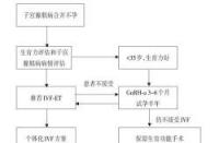 没来月经是否会怀孕：生理机制与生育可能性解析