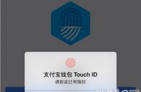 支付宝指纹支付：开启便捷支付新篇章