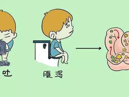 六个月宝宝拉肚子怎么办：家庭护理与饮食调整的实用指南