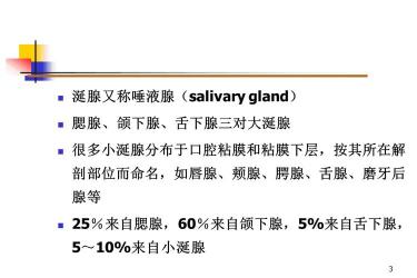 嘴巴干燥：生理与病理原因的解析