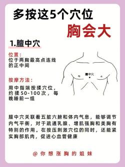 丰胸按摩穴位图：掌握乳房穴位，自然丰胸与健康