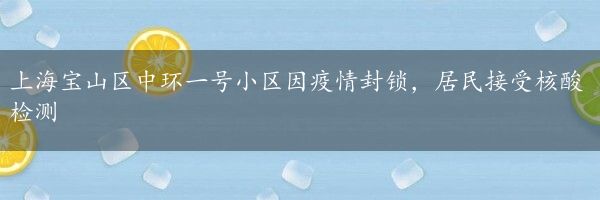 上海宝山区中环一号小区因疫情封锁，居民接受核酸检测