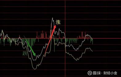 新手必看：如何轻松看懂股票的涨跌？