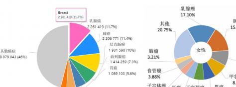 子宫癌的原因：了解风险因素，预防胜于治疗